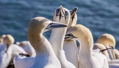 黔西伴游,定制QQ:3494206190微信:act1322